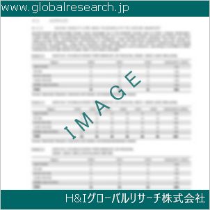 グローバルリサーチ調査資料のイメージ